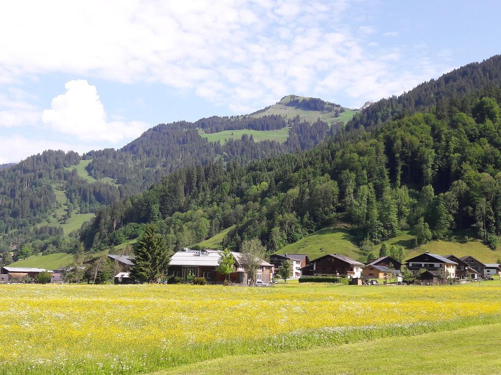 Haus Diedams Schoppernau Exterior foto